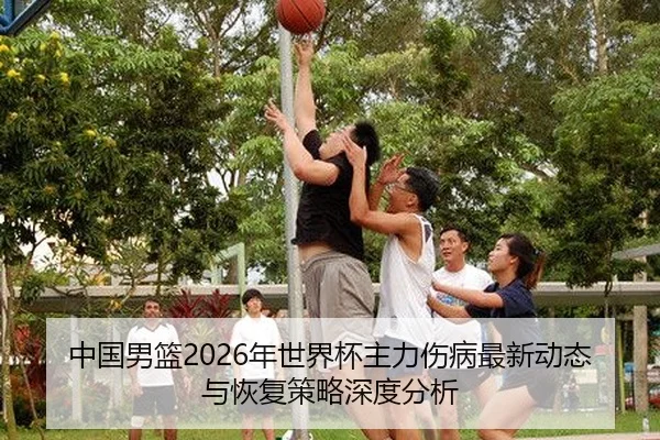 中国男篮2026年世界杯主力伤病最新动态与恢复策略深度分析